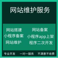 网站运维服务网站搭建小程序网站app上架服务器维护程序二次开发